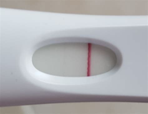 Pregnancy Tests Results Pregnancywalls