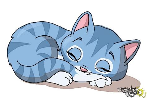 Cat illustration, cat kitten drawing sleep , cat drawing transparent background png clipart. How to Draw a Sleeping Cat - DrawingNow