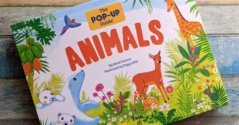 Animal Pop Up Book For Children Mama Likes This