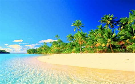Tropisches Strandparadies Tropisches Paradies Tapete 2560x1600