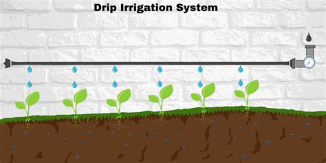 Drip Irrigation Introduction Advantages