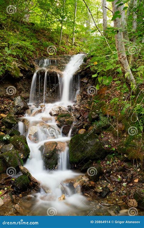Forest Waterfall Cascading Stock Photo Image Of Motion 20864914