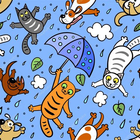 Rain Cats And Dogs Cats And Dogs Cohabiting Zooplus Magazine Its