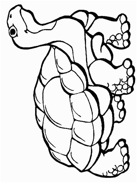 Why not consider diagram earlier mentioned? Desert Tortoise Clipart | Clipart Panda - Free Clipart Images