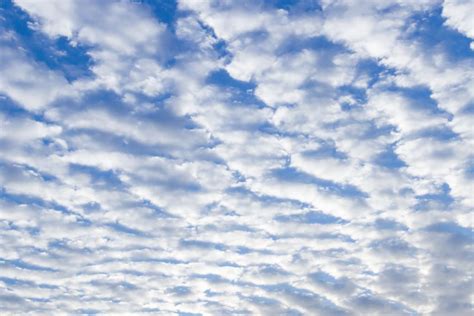 Stratus Clouds Climate And Weather