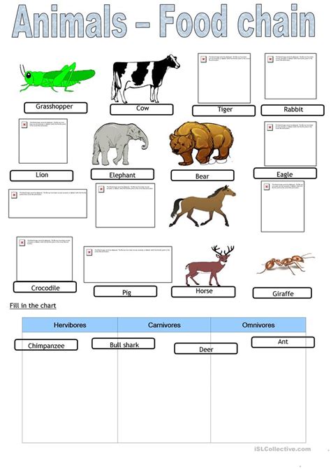 1 look at this food chain. Animals - Food chain worksheet - Free ESL printable ...