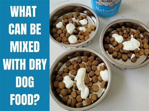 15 Tasty Toppers To Mix With Dry Dog Food To Tempt Your Dog World Of Dogz