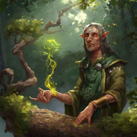 Elder Mage Grant Griffin Character Art Fantasy Characters Elf Druid