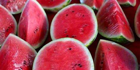 Can You Freeze Watermelon Prepping And Storage Guide Pantry Tips