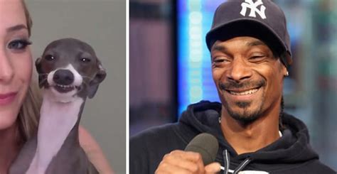 10 Animals That Totally Look Like Celebrities Paws Planet