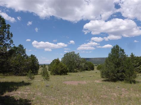 Quemado Catron County Nm Farms And Ranches For Sale Property Id