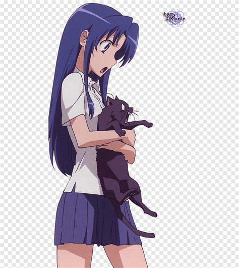 Ami Kawashima Taiga Aisaka Minori Kushieda Anime Toradora Anime