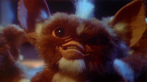 Stripe Gremlins Wiki