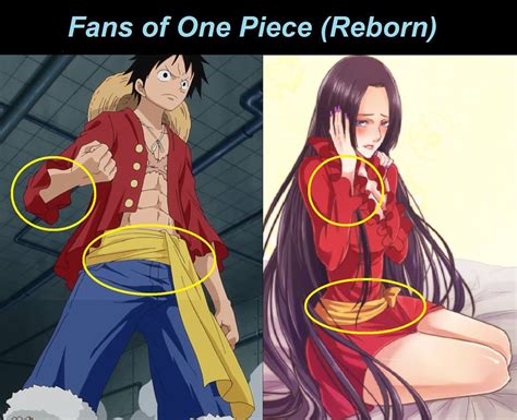 While the latter is completely enamored with the straw hat captain, luffy is generally oblivious to any advances made by hancock. Funny Couple Luffy & Boa Hancock | Diễn Đàn 568Play