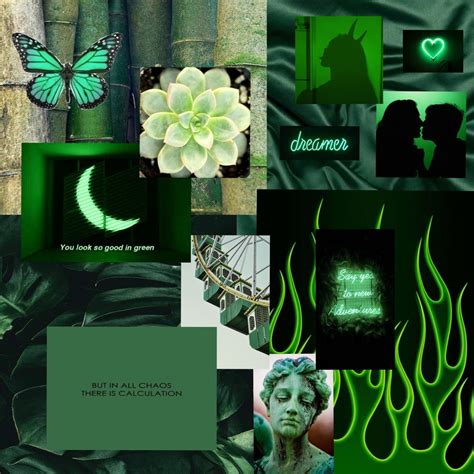 Dark Green Aesthetic Collage Laptop Wallpaper Img Groin