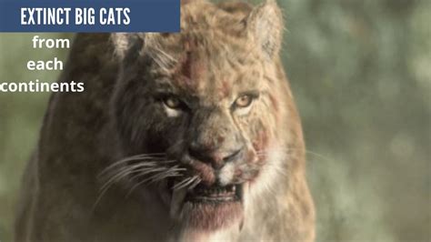 Extinct Big Cats From Each Continents Youtube