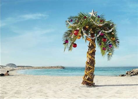 Palm Tree Christmas Beach