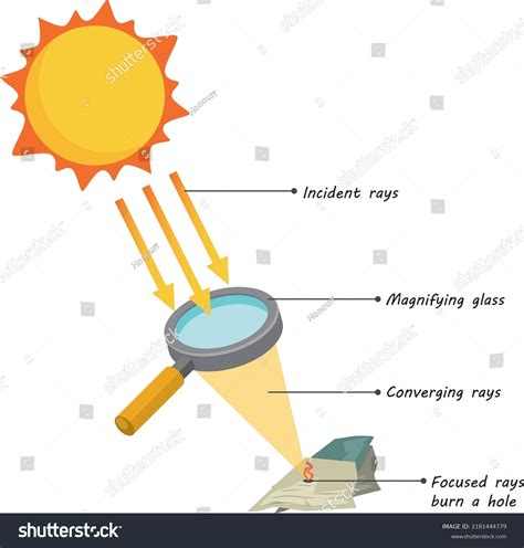 Magnifying Lens Sunlight Fire Diagram Educational Stock Vector Royalty Free 2181444779