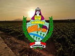 Municipalidad Distrital de La Tinguiña: ESCUDO DE LA MUNICIPALIDAD DE ...