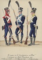 Pin en France's German Allies during the Napoleonic Wars