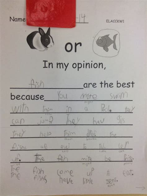 Opinion Writing For First Grade