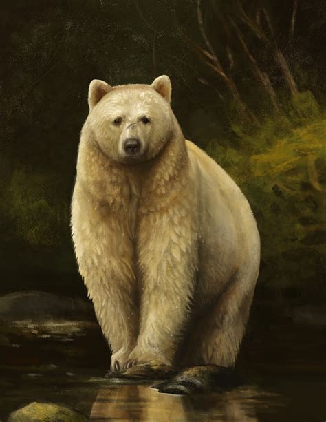 Artstation Spirit Bear Study