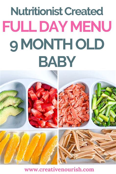 9 Month Old Meal Plan   Nutritionist Approved   Creative  