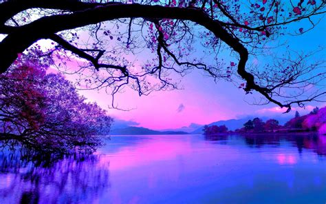 Purple Sunset On The Lake Wallpaper Nature And Landscape Wallpaper