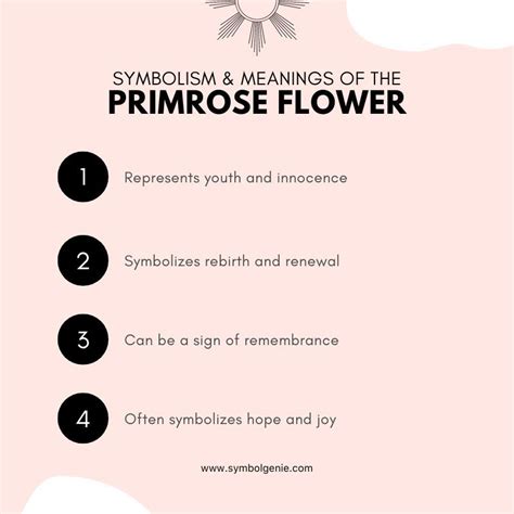 Primrose Flower Symbolism Meanings And History Symbol Genie