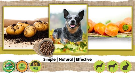 We did not find results for: Ultimate Dog Digestive Support with Rootsies Food Topper ...