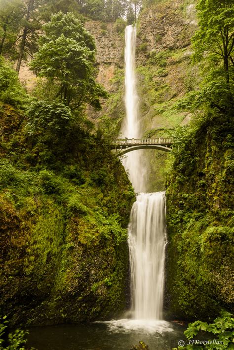 Multnomah Falls Jfdornellas Photography