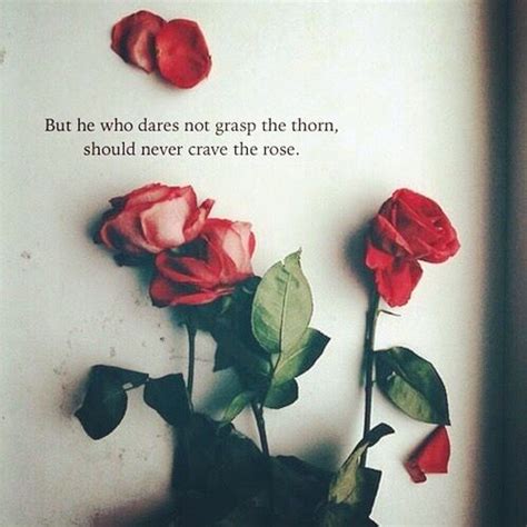 Red Roses Tumblr Quotes