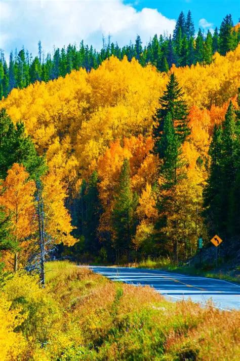 The Best Places To See Fall Colors In Usa National And State Parks