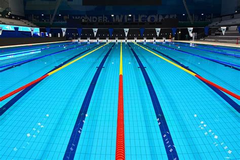 Olympics Swimming Background Canvas Insight