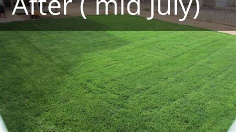 You don't have to worry about streaks, stripes or accidentally burning your lawn when you use milorganite! milorganite before and after - YouTube
