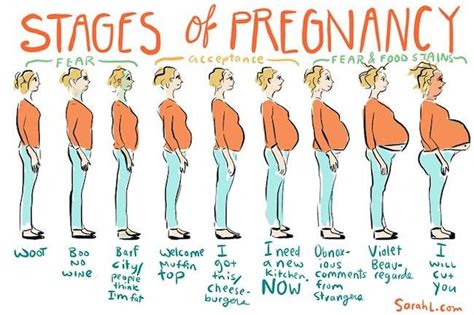 26 Hilarious Pregnancy Memes Youll Get A Kick Out Of