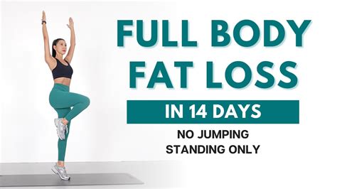 Full Body Fat Loss In 14 Days 40 Min Standing Workout No Jumping Beginner Friendly Youtube