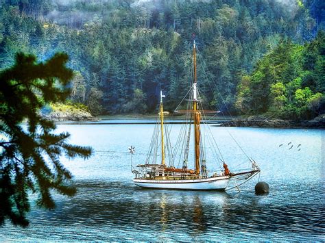 Lovely View Boat Birds Peaceful Beauty Sailboats Boats Trees Mountains Water Ocean