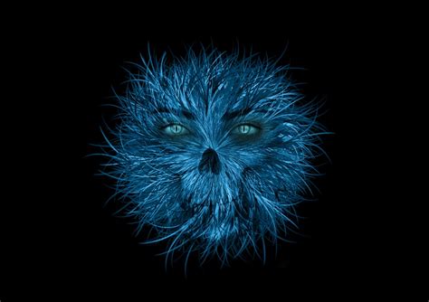 Monster Blue Eyes Free Image On Pixabay