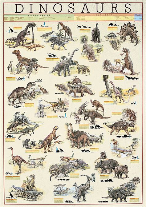 Dinosaur Plakat Plakater Penesco Trading