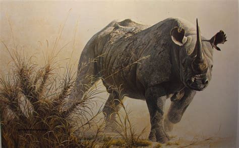 Robert Bateman Charging Rhinoceras Rhinoa Rinocerontes Arte De