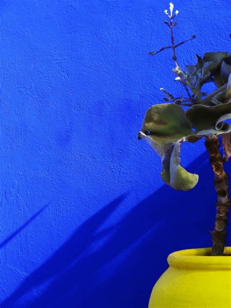 ✔ surface à rénover : Bleu majorelle | Des Goûts et des COULEURS | Jardin majorelle, Peinture interieur maison, Couleur