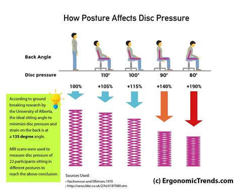 This can lead to painful back pain that lowers your overall productivity and focus. Best Ergonomic Office Chairs for Back Pain (What the ...