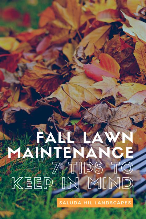 7 Tips For Fall Lawn Maintenance That You Should Doing Already — Saluda