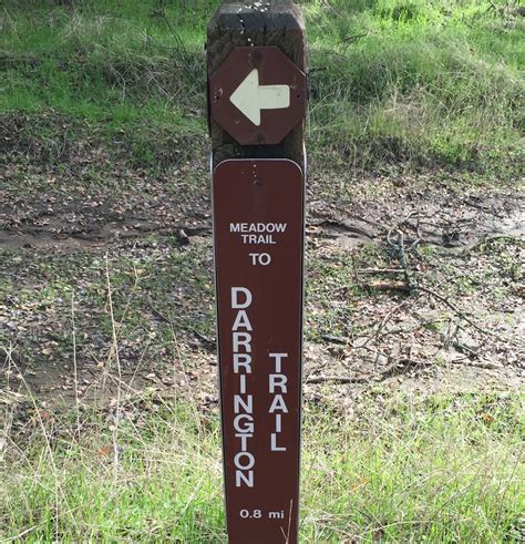 Easy Hiking On Folsoms Peninsula Campground Trails