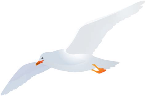 Seagull Clipart Free Transparent Background Pictures On Cliparts Pub