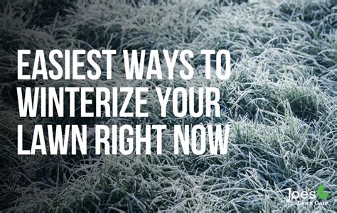 Easiest Ways To Winterize Your Lawn Right Now Joes Lawn Care