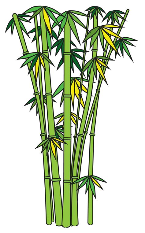 Bamboo Tree Drawing