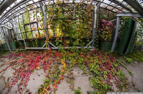 Abandoned Greenhouse Complex Near Moscow · Russia Travel Blog
