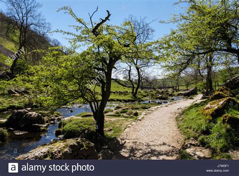 Malham Beck Hi Res Stock Photography And Images Alamy